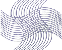 FGV Logo